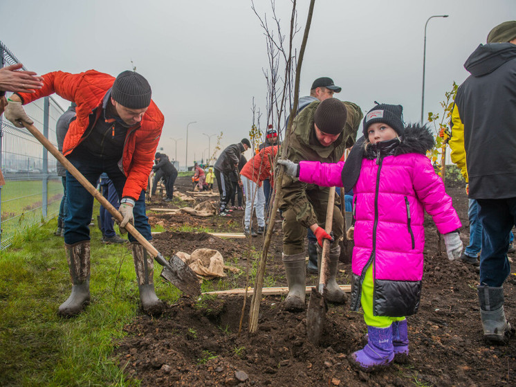 Для школьников Татарстана открыт эколого-образовательный проект