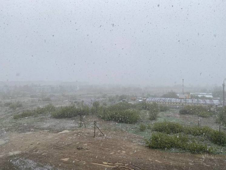 7 мая в Рязани пошёл снег