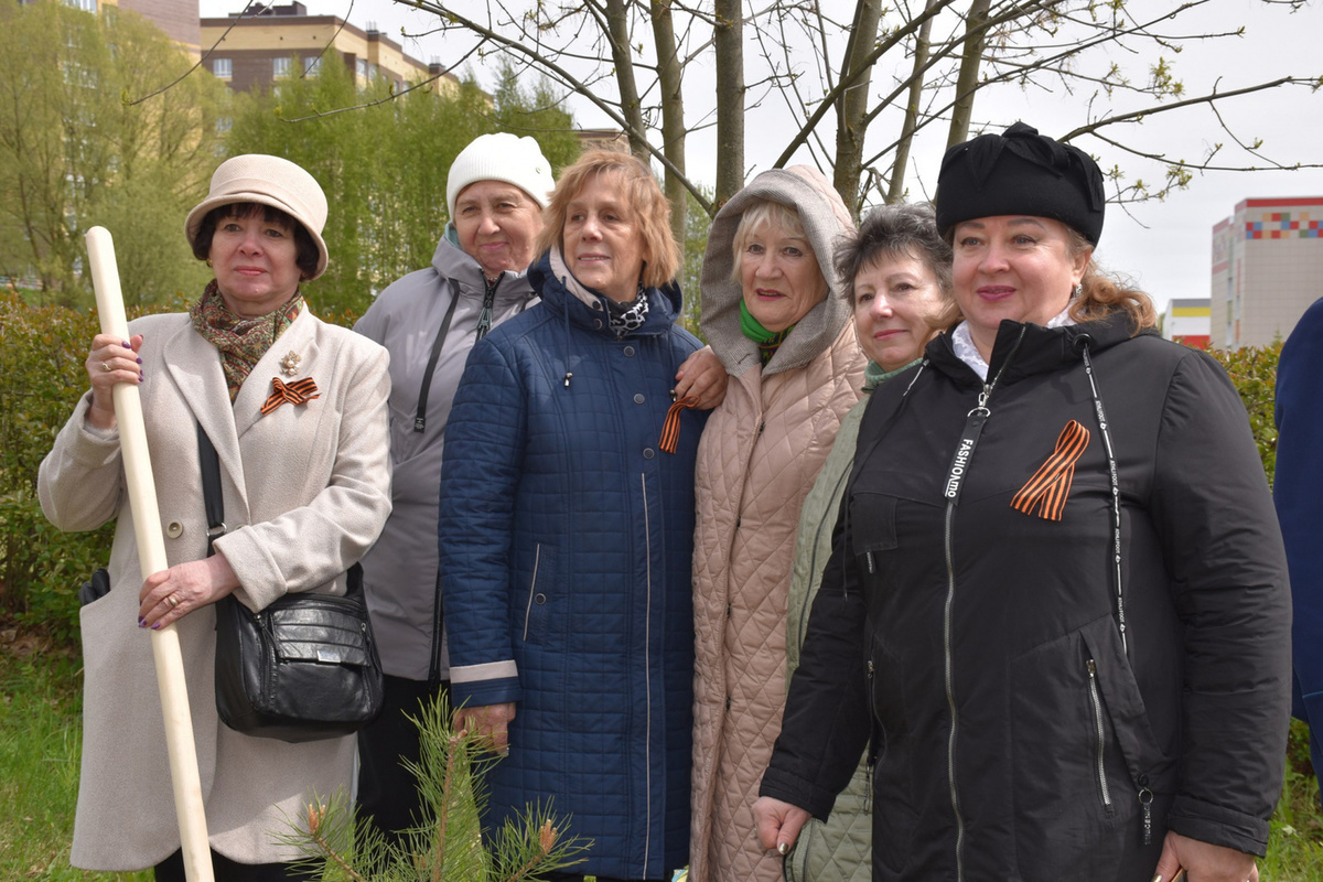25 молодых сосен посадили костромичи в ходе акции «Сад памяти»