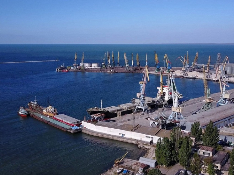 Бердянский морской торговый порт за 2023 год перевез более 200 тыс тонн грузов