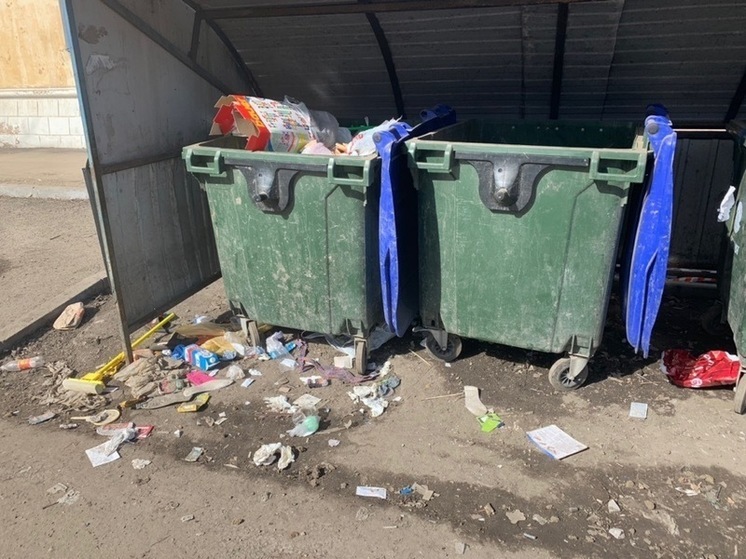 В Ярославле мусорные штрафы превысили полмиллиона рублей