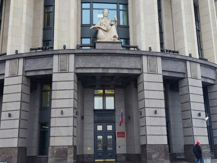 Суд в Петербурге дважды заключил под стражу депутата ЗакСа Ленобласти Шадаева