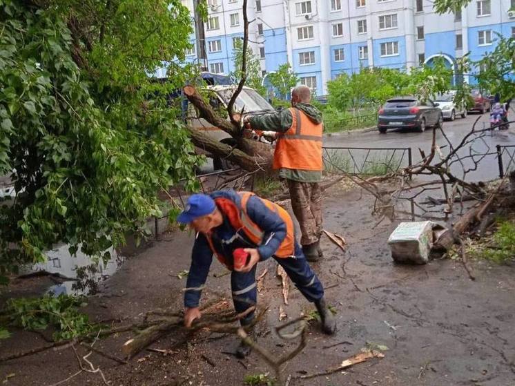 Из-за урагана в Воронежской области остались без света более 35 тысяч человек