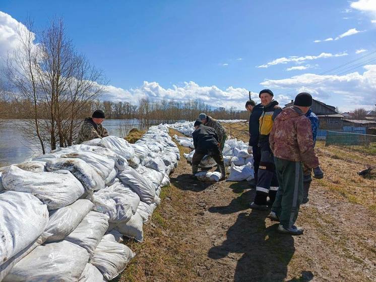 В селе Ашеваны на севере Омской области затопило 25 домов