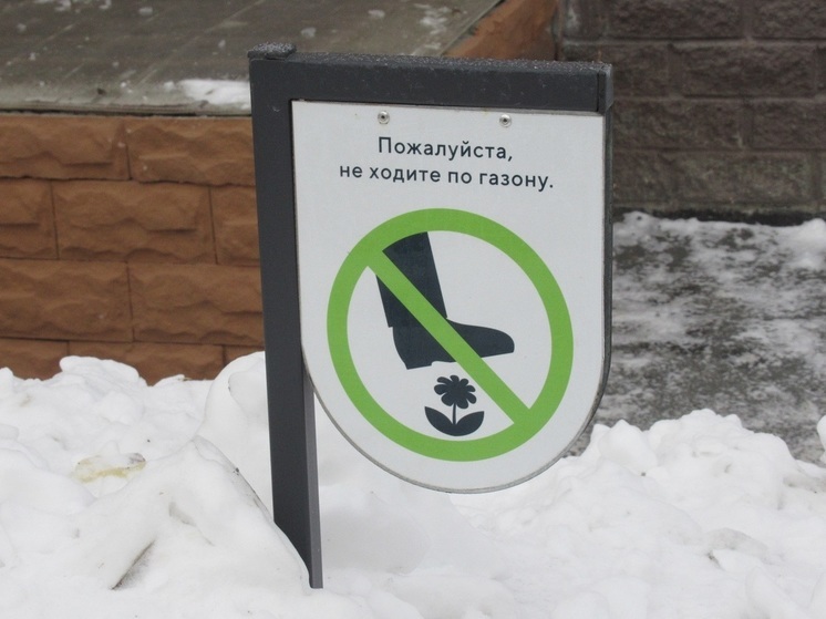 Квартальные выписали 1200 протоколов за парковку на газонах в Екатеринбурге