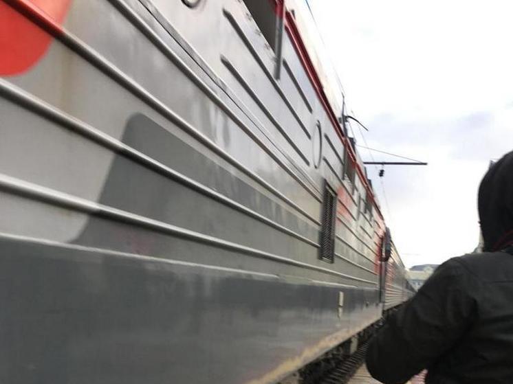 Во время шквалистого ветра под Воронежем не смог проехать пассажирский поезд