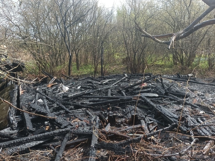 За сутки в Ярославской области сгорели три дома и "горы" мусора