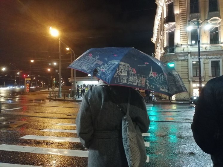 Возможен мокрый дождь: синоптик Леус рассказал о погоде в Петербурге 8 мая
