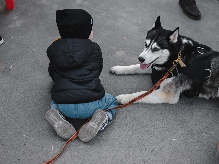 В Иркутскую областную детскую больницу на праздник привезли служебных собак
