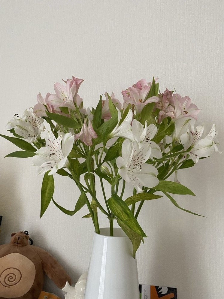 Не теряют вид целый месяц: флорист назвала самые стойкие цветы