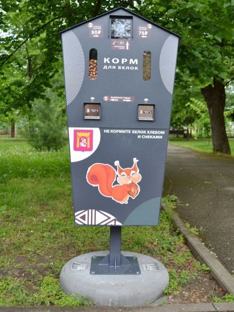 В парке Георгиевска установили автоматы с орехами для угощения белок