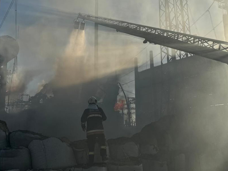 Украинские ТЭС уничтожают по новой схеме: взрывы гремят на подстанциях, ведущих в Европу