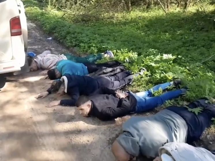 8 иностранцев пытались уехать из Псковской области за рубеж