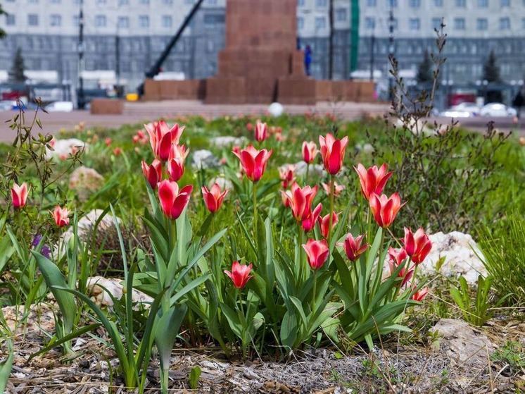 9 Мая в Челябинской области будет дождливым