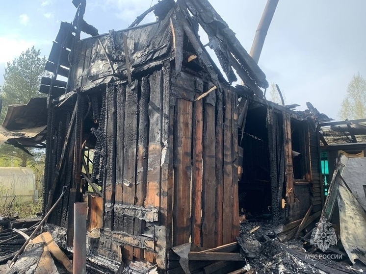 Неизвестные подожгли баню на заброшенном участке в Вологодском округе