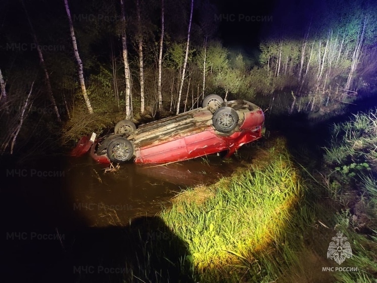 В Ярославской области легковушка улетела в овраг с водой