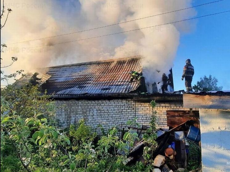 В Орловской области случился пожар в хозпостройке
