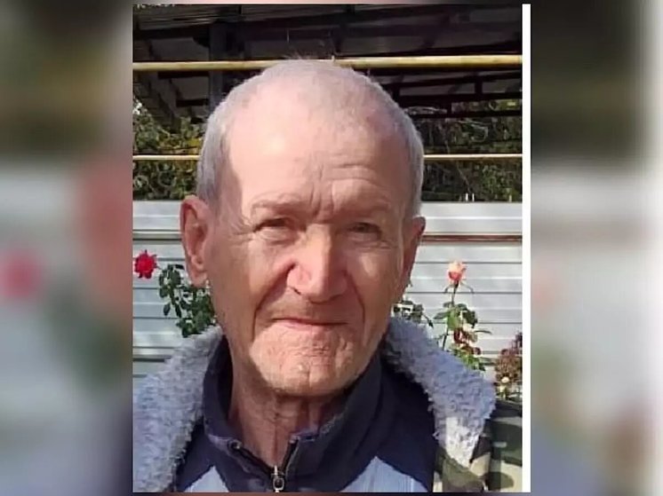 Пропавшего в Ростовской области 76-летнего мужчину нашли живым