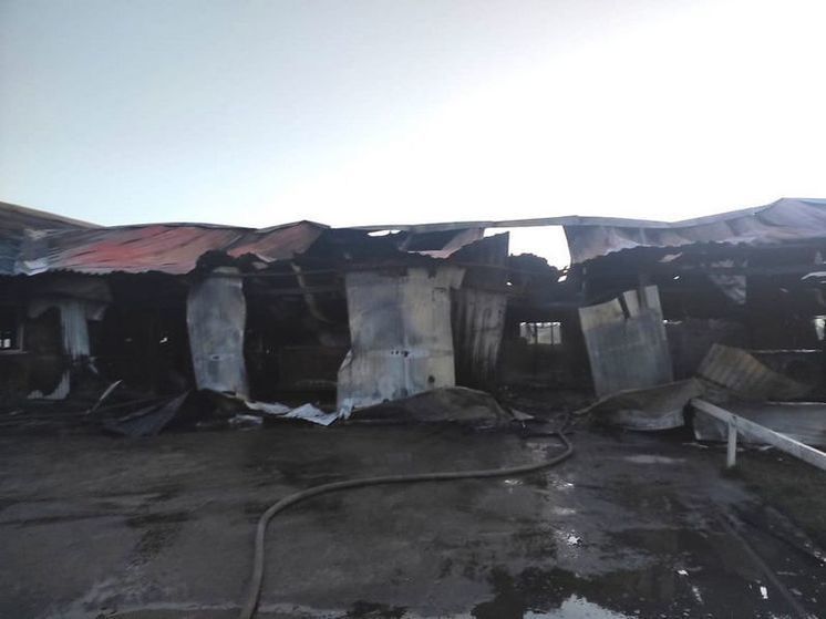 На пожаре в ряжской ферме погибли 16 коров