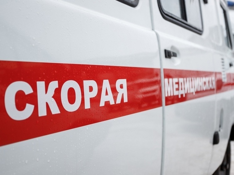 24 человека погибли на пожарах в Псковской области за 4 месяца