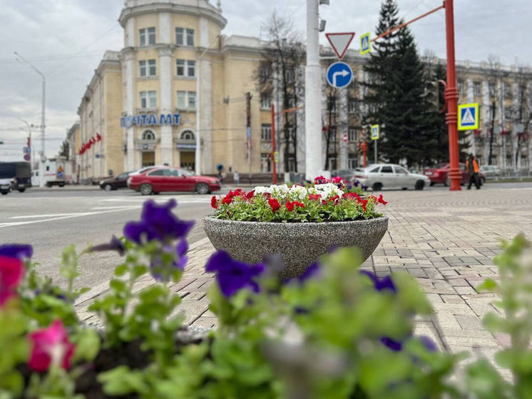 Высадка цветов стартовала на кемеровских улицах