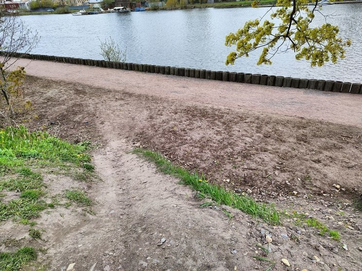 В Калининградской области благоустроят территорию вдоль Литовского ручья