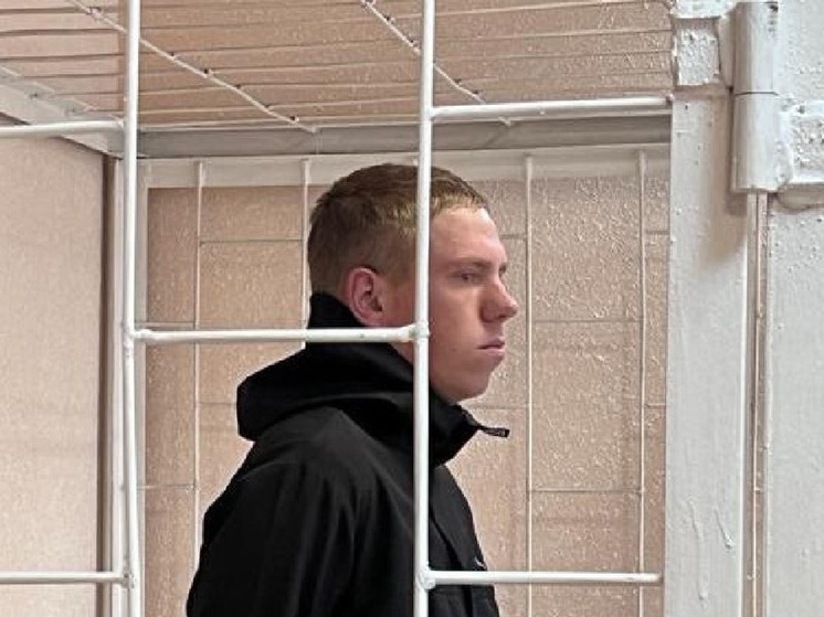 В Новосибирске суд вынес приговор виновнику смертельного ДТП у концертного комплекса им. В. Маяковского