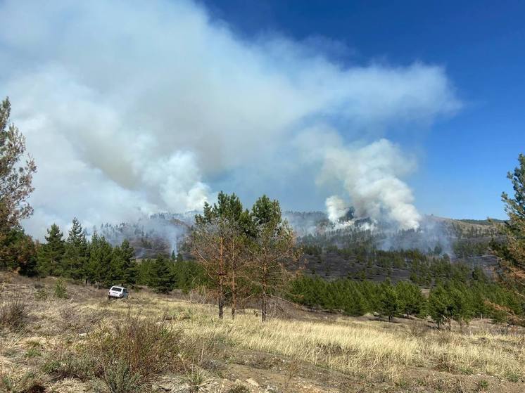 Около Улан-Удэ полыхает ландшафтный пожар