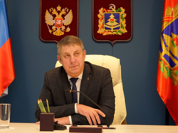 Брянский губернатор рассказал о последствиях обстрела села Лемешовка