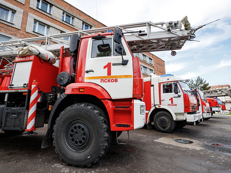 107 строений и 12 автомобилей уничтожили пожары за 4 месяца в Псковской области