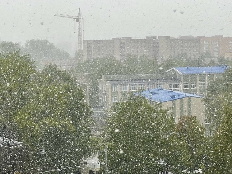 В День Победы в Рязанской области ожидается снег и до +6 градусов