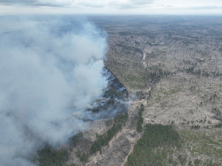 За сутки в лесах Иркутской области ликвидировано 19 пожаров