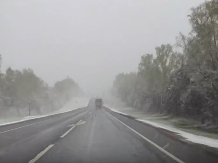 Ярославские дороги начало заметать снегом