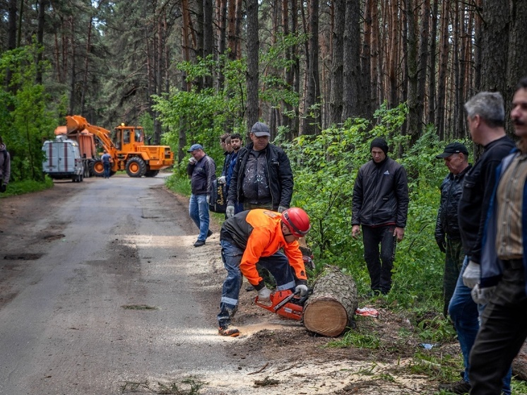 В Курске 8 мая провели акцию по заготовке дров для участников СВО