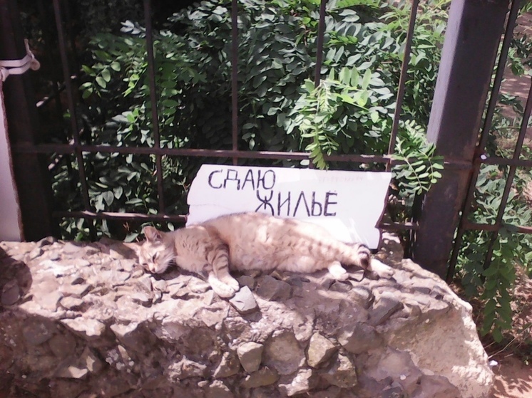 Жители Карелии отказываются от поездок в Анапу из-за проблем с билетами на поезд