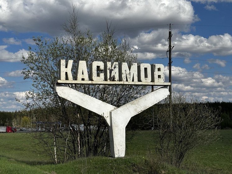 Власти Касимова опровергли информацию о вспышке кишечной инфекции в городе