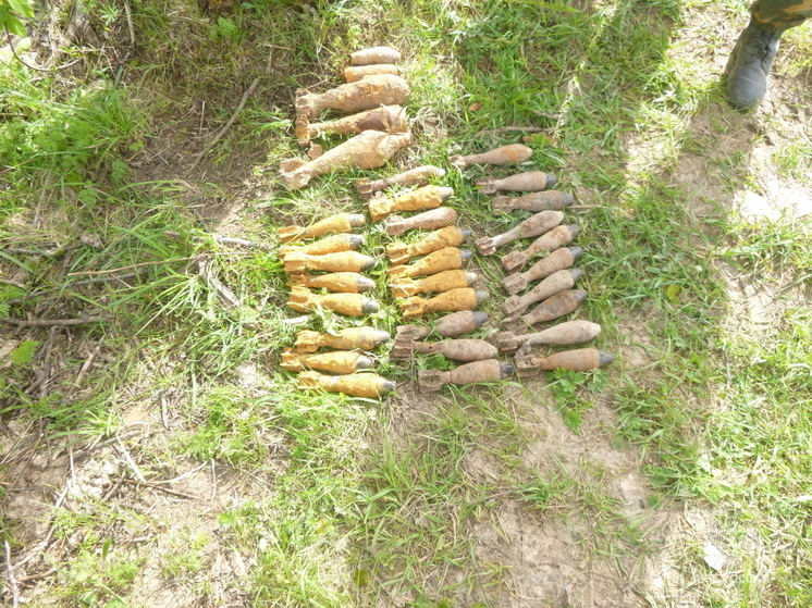 В Тверской области нашли 32 минометные мины, гранату и снаряд