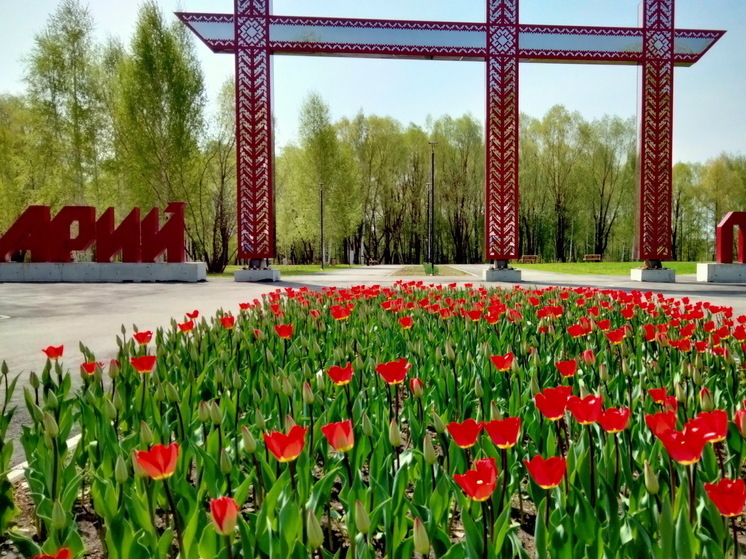 В новом парке Йошкар-Олы пройдет всероссийский фестиваль