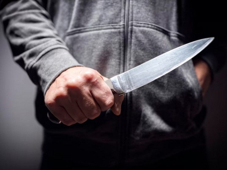 Под Тюменью ребенок принес в школу ножи и угрожал однокласснику