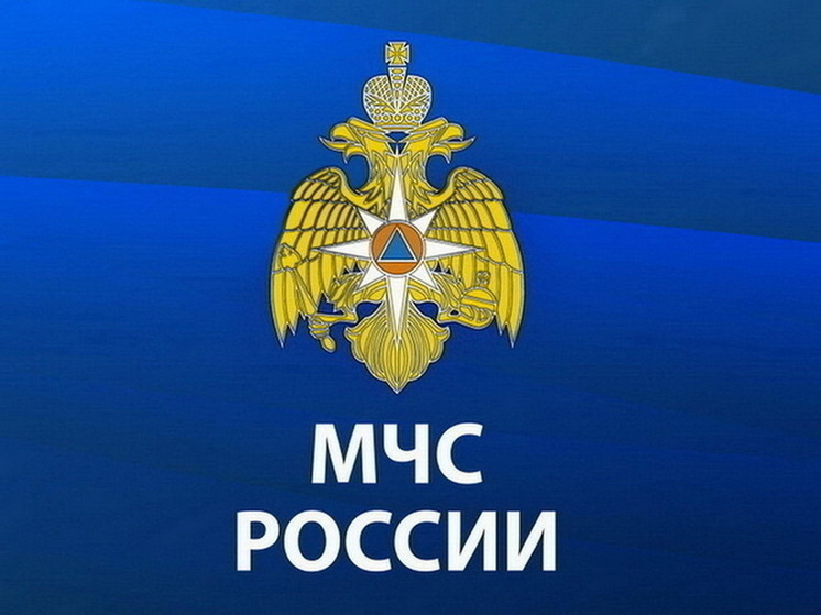 В МЧС 8 мая сообщили об обстреле курского села Попово-Лежачи