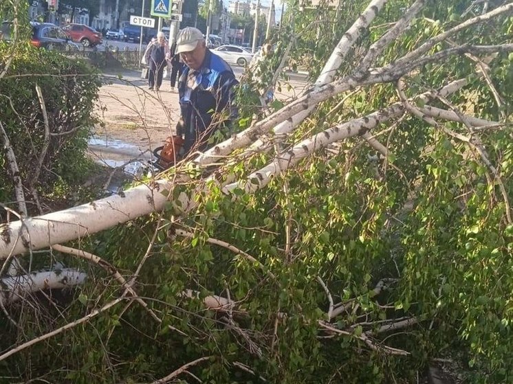 Травмированные в автомобиле упавшим деревом жительницы Воронежа показали свои раны