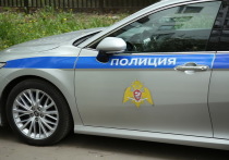 Двое кавказцев, которые налетели на сотрудников ГИБДД в Волгоградской области и предлагали им встретиться вечером без формы «один на один» принесли извинения и получили по 5 суток ареста, дело третьего направлено следователям