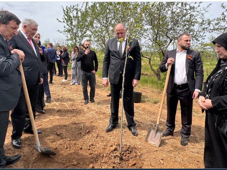 Дагестан увековечивает героев: «Сад памяти» открыт в ДГУ