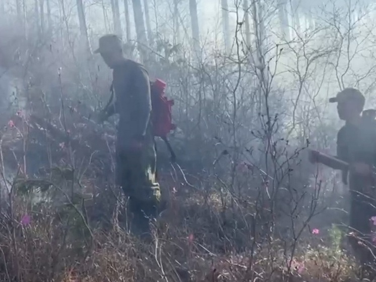 В Улан-Удэ введен режим ЧС из-за лесного пожара в пригороде