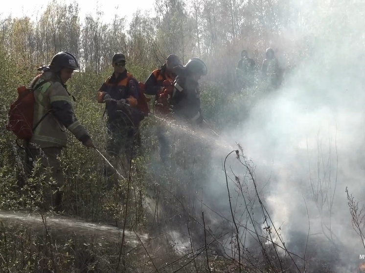 Пожарные в Хабаровском крае спасли село от огня