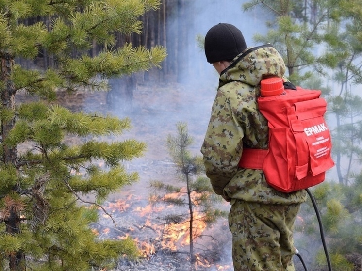 В тайге Бурятии тушат  9 пожаров, один крупный - 2 тыс гектаров