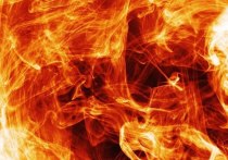 44 пожара произошло в Алтайском крае за сутки 8 мая, девять из них носили техногенный характер. Об этом сообщает региональное ГУ МЧС.