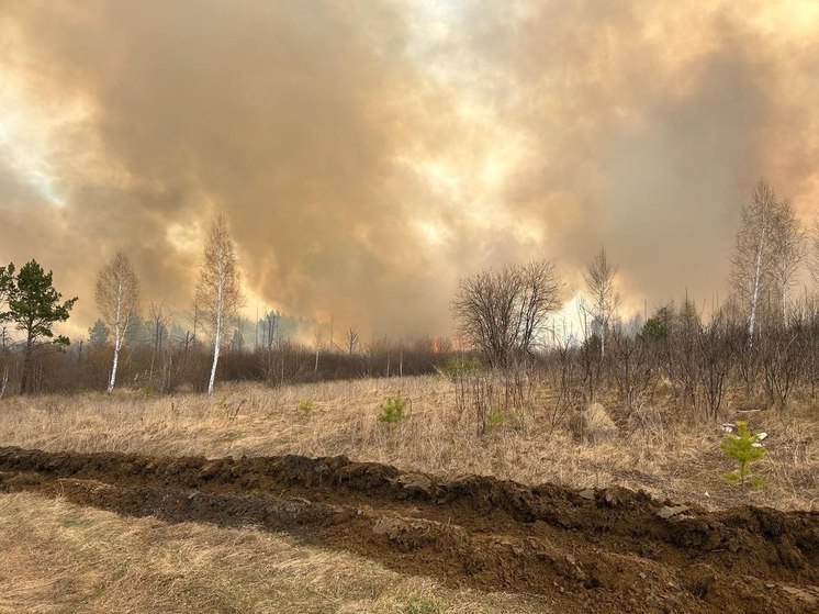 В Иркутской области за сутки потушили 12 лесных пожаров