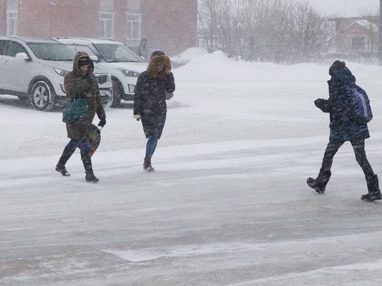 Об усилении северо-восточного ветра 9 мая известили жителей НАО