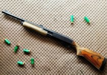Полицейский обнаружил у жителя Романовского района Алтайского края , незарегистрированное оружие, сообщает пресс-служба регионального управления по обеспечению деятельности мировых судей.